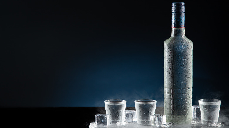 Bottle of vodka alongside shot glasses