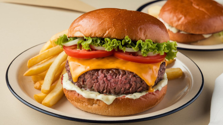 Burger on a plate with fries