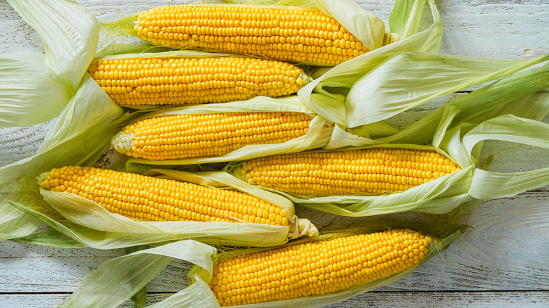 Raw corn cobs
