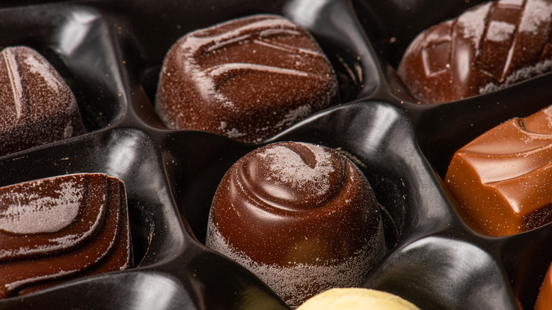 Chocolate bloom on small pieces of chocolate